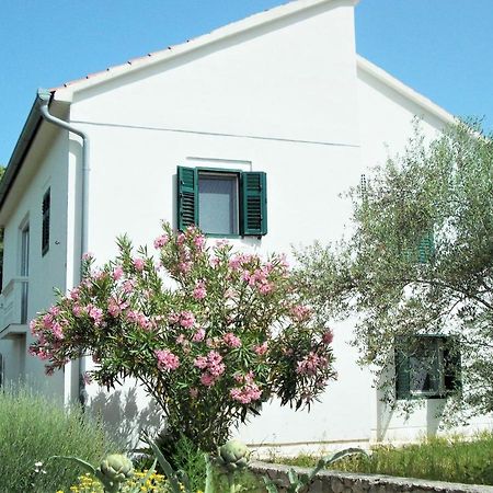Rustic Holiday Home Miketa Lukoran Exterior foto