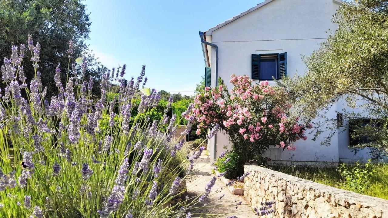 Rustic Holiday Home Miketa Lukoran Exterior foto